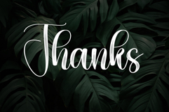 Monstera Product Image 8