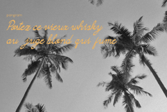Camarali Script Font Product Image 8
