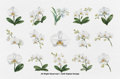 15 Bundle Watercolor Orchid Flower Blossom Botanical Product Image 8