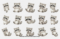 15 Bundle Watercolor Cute Raccoon Baby Animal Forest Lovely Product Image 8