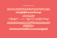 Thick Dream | Retro Script Product Image 8