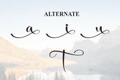 Montana Product Image 8