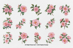 15 Bundle Watercolor Camelia Flower Pink Botanical Japanese Product Image 8