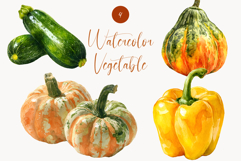 Watercolor Vegetable Clipart Zucchini, Squash, Pumpkin Product Image 1