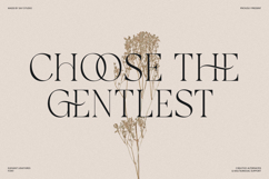 Galvore - Luxury Ligature Serif Font Product Image 8