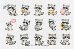 15 Bundle Watercolor Baby Raccoon Cute Animal Forest Lovely Product Image 8