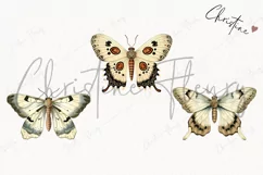 Vintage Goth Moths Clipart | Vintage Gothic PNG Product Image 3
