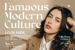 Fantasy Brooklyn - Stylish Ligature Serif Font Product Image 8