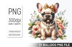Watercolor Cute Bulldog Clipart PNG Bundle, Bulldog Art Product Image 9