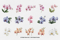15 Bundle Watercolor Orchids Flower Tropical Exotic Blossom Product Image 8