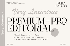 Theron Enroma | 17 Font Style Product Image 7