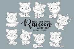 Black and White Coloring Raccoon Product Image 1
