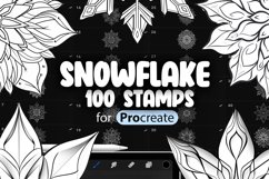 100 Procreate Snowflake Stamp Brushes Product Image 1