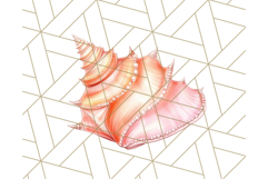 Natural Seashell Clipart PNG, Summer Nautical Beach Shell Product Image 4