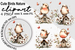 Whimsical Cute birds nature clipart Watercolor png Product Image 1
