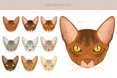 Abyssinian Cat Clipart Product Image 6