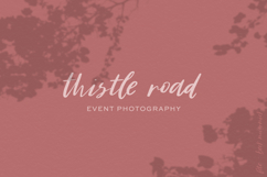 Fete Script Product Image 8