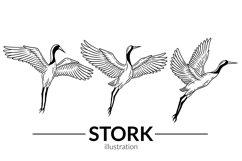 24 Set Bundle Stork Crane Swan Wild Animal Bird Hand Drawn Product Image 6