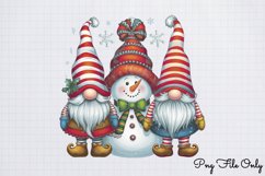 Cute Christmas Gnome Sublimation Clipart PNG Product Image 1