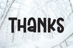 Snow Winter Product Image 8