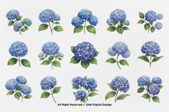 15 Bundle Watercolor Hydrangea Flower Blue Floral Garden Product Image 8