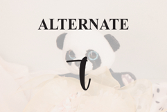 Rustic Panda Product Image 8