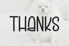 Maltese Puppies Product Image 8