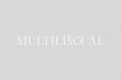 Aveline - Elegant Serif Product Image 8