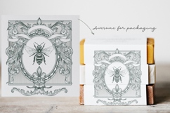 Calligraphic set of vintage flourishes Product Image 10