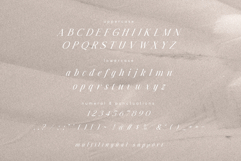 Mapalie Elegant Italic Serif Product Image 8