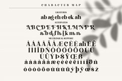 Hochagi Product Image 4