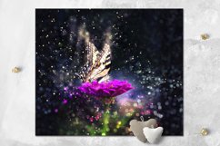 Mystic Butterfly | skinny tumbler Sublimation design bundle Product Image 8