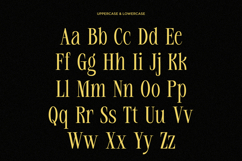 Rekogil - Luxury Serif Font for Branding Product Image 8