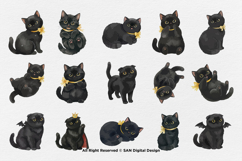 15 Bundle Watercolor Dark Cats Kitten Demon Devil Pet Product Image 8