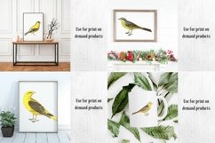 Vintage Birds, Antique Birds Clipart Product Image 8