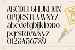Galvero - Decorative Family Sans Serif Font Product Image 8