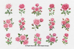 15 Bundle Watercolor Pink Rose Love Romantic Couple Feminine Product Image 8