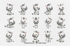 15 Bundle Watercolor Zebra Baby striped Animal Wildlife Product Image 8