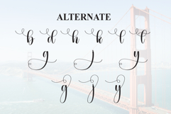 Bridging Product Image 8