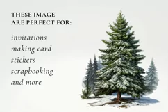 4 png watercolor christmas tree clipart, christmas tree Product Image 2