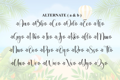 Summer Product Image 8