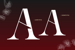 Ronel Luxury - Modern Logo Font Product Image 8