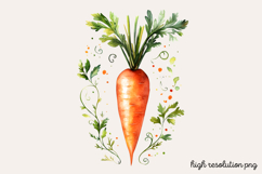 Carrot Watercolor Clipart PNG Product Image 1