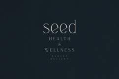 Demeris A Modern Serif Font Product Image 8