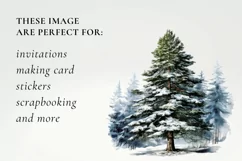 4 png watercolor christmas tree clipart, christmas tree Product Image 2