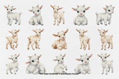 15 Bundle Watercolor White Goat Baby Kids Charming Farm Product Image 8