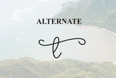 Southine Product Image 8