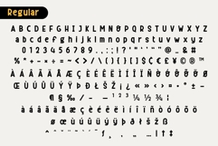 Fox Dark Font Product Image 8