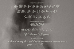 Mistyland - Calligraphy Script Font Product Image 9