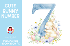 Easter Bunny Number 7 PNG,Baby Shower Sublimation Design Product Image 1